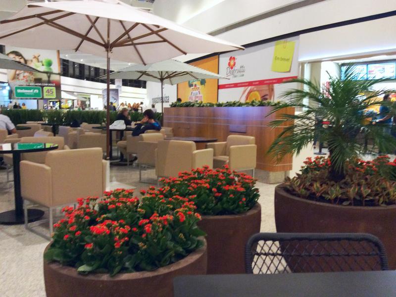 Kalanchoes conquistam jardins dos shopping centers e centros comerciais